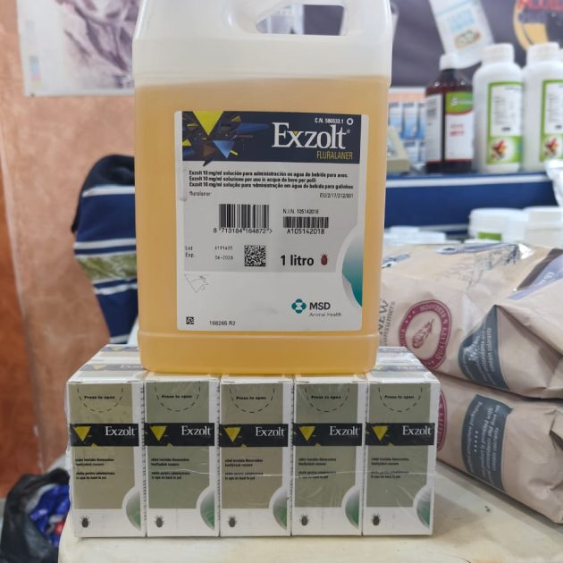 EXZOLT الاصلي